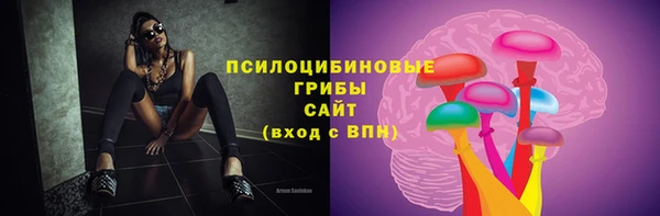 ECSTASY Ессентукская